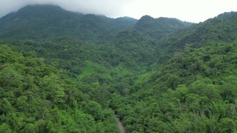 fog-covered mountaintop in thailand's wilderness