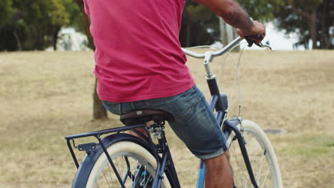 Back-view-of-senior-man-riding-bicycle-in-park