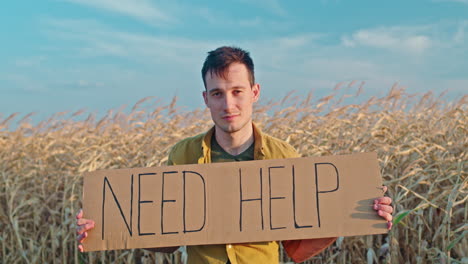 man asking for help in a cornfield