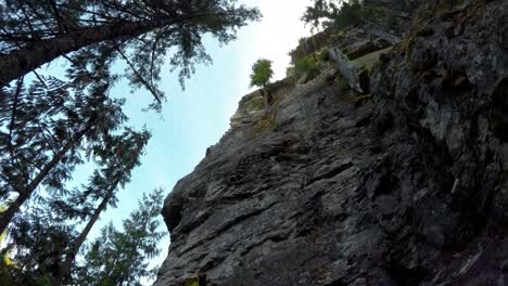 rock climber climbing a cliff in the forest 4k