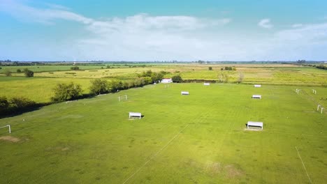 empty soccer fields with green grass