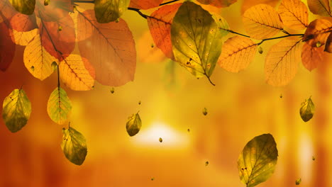 animation of leaves falling over autumn scenery