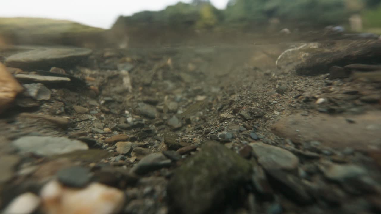 Underwater view of stream bed