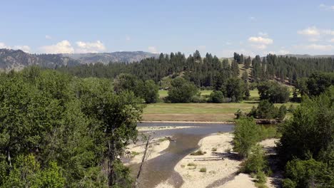 an aerial video at treetop level pushing forward above a river