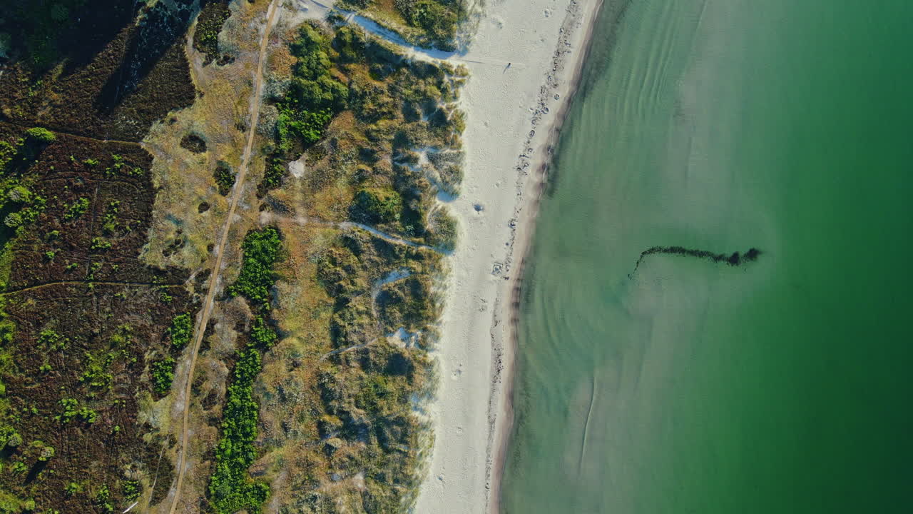 Det vidunderlige landskab med en grøn frodig ø, hvidt sand og klart vand i Sandbybadet, Öland, Sverige – Droneoptagelse.