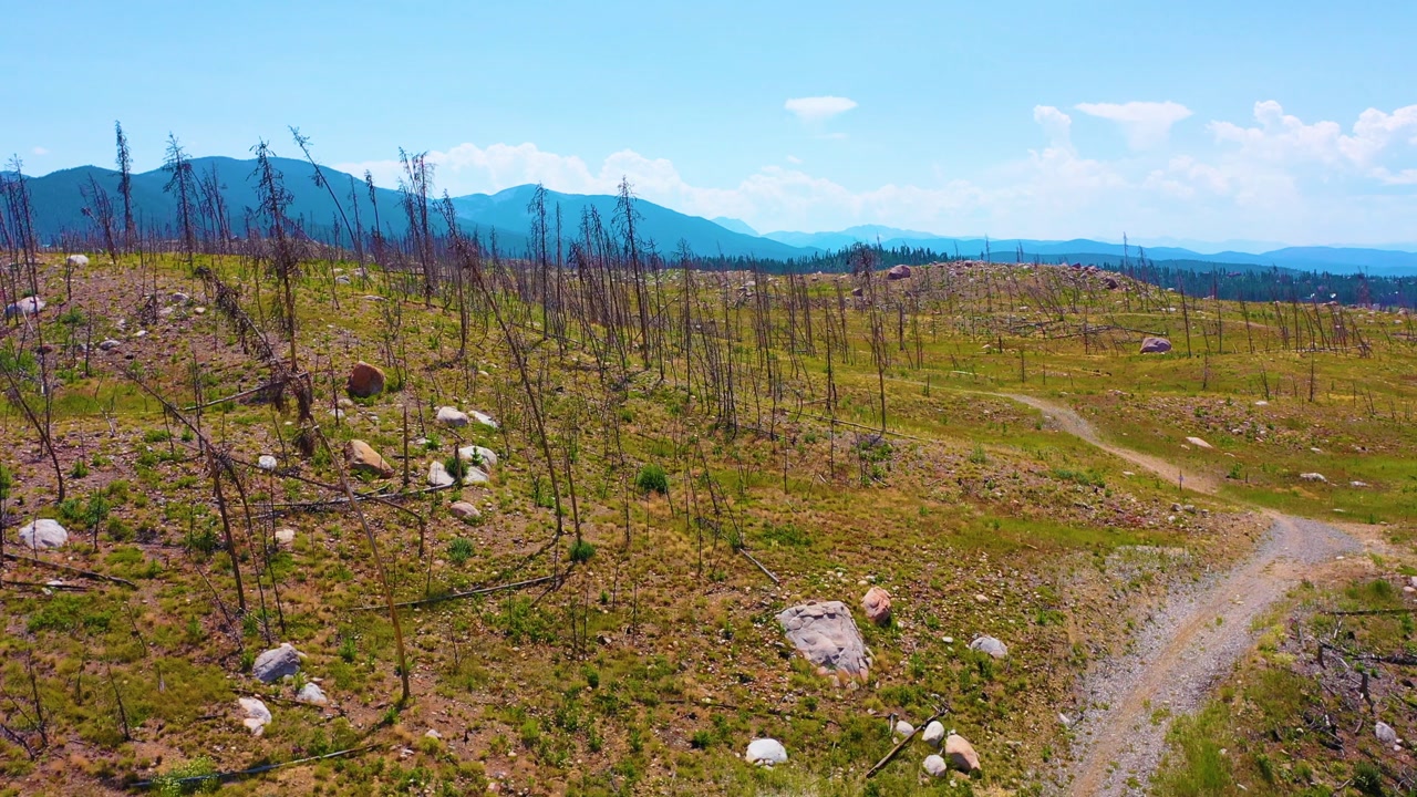 Expansive aerial panorama of post wildfire wilderness with barren trees, dusty path, rolling hills, and bright sky stretching toward the mountains near Grand Lake Colorado in summer.