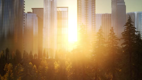 skyscrapers-at-sunset-and-park-trees