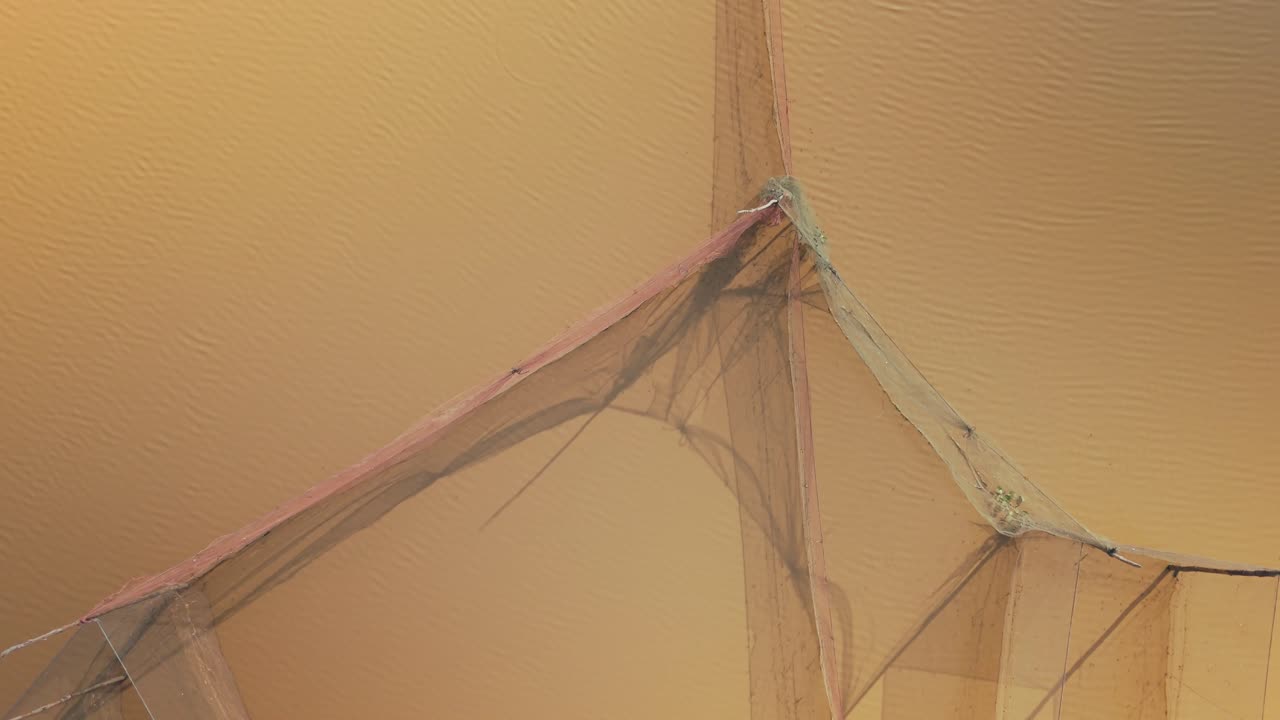 토넬 사프 호수 (tonle sap lake) 의 진 물 속 에 있는 화살머리 물고기 그물 들, 복잡 한 세부 사항 을 보여 주는 공중 비행