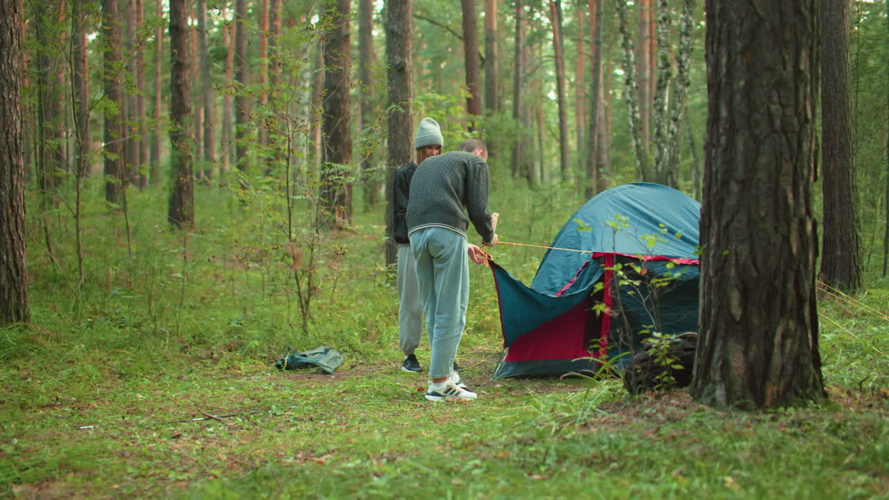 Couple stands side by side in forest camp as man separates tangled yellow rope from tent cover while woman assists, surrounded by tall trees and lush greenery in early morning light