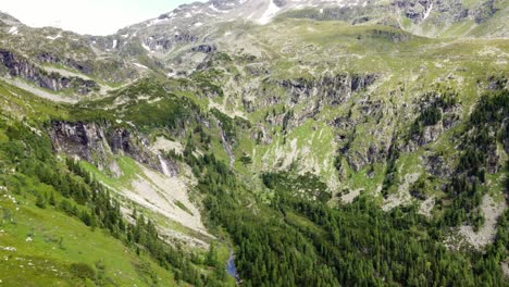 huge valley with a forest and a lot of cliffs in the alps in kaernten, austria