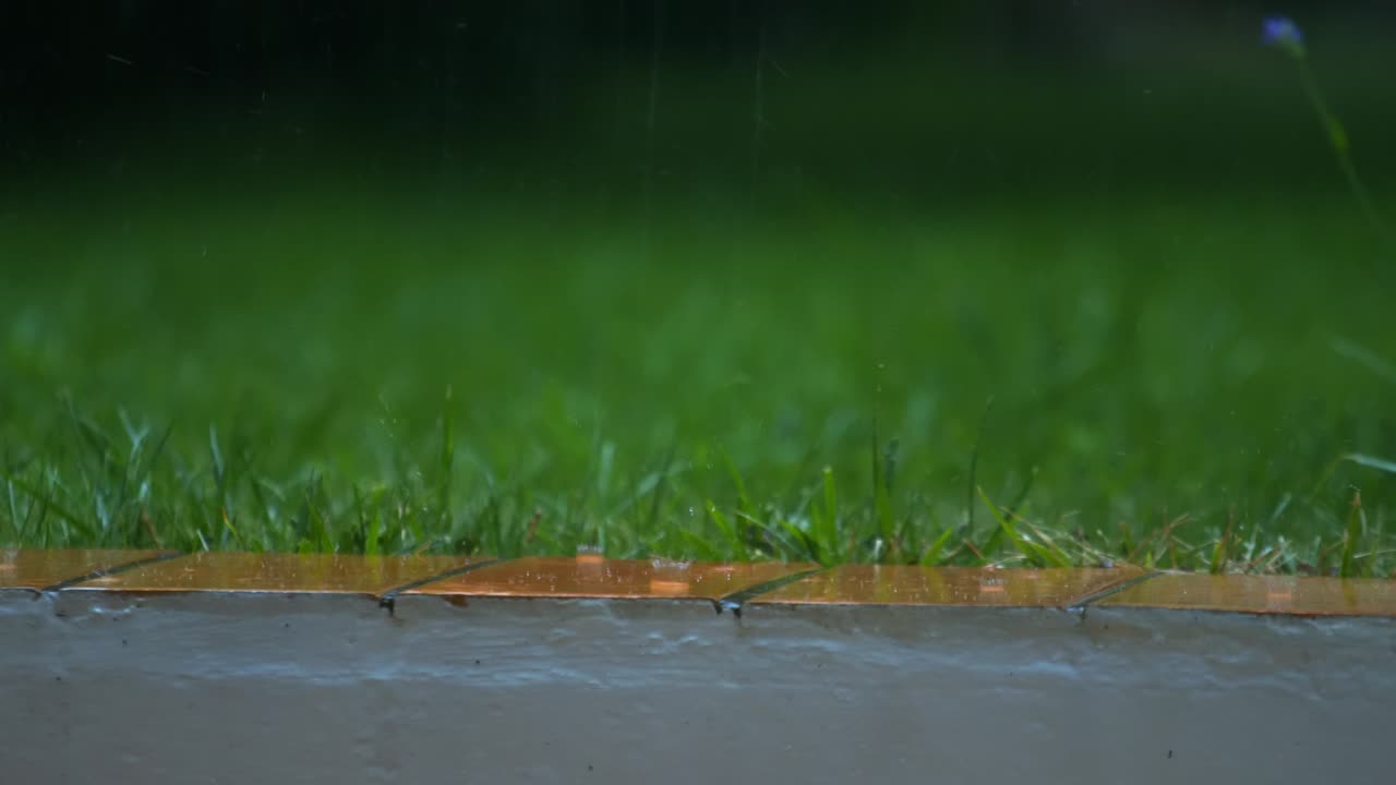 Rainy Day: Close-Up of Rain Falling on Green Grass