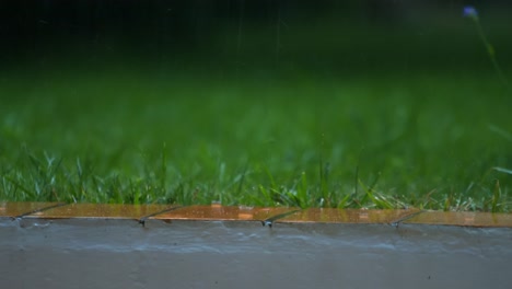 rainy day: close-up of rain falling on green grass