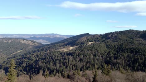 Pullback-Over-Pine-Forest-Mountain-In-Ceahlău-Massif,-Eastern-Carpathians,-Romania