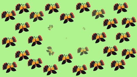 animation of multi coloured butterflies on green background