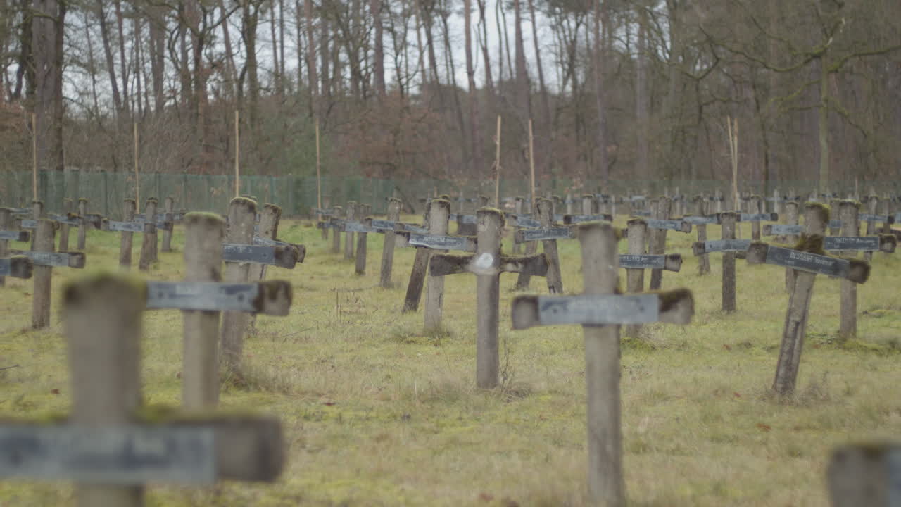 Static shot of old crucifixes at abandoned graveyard