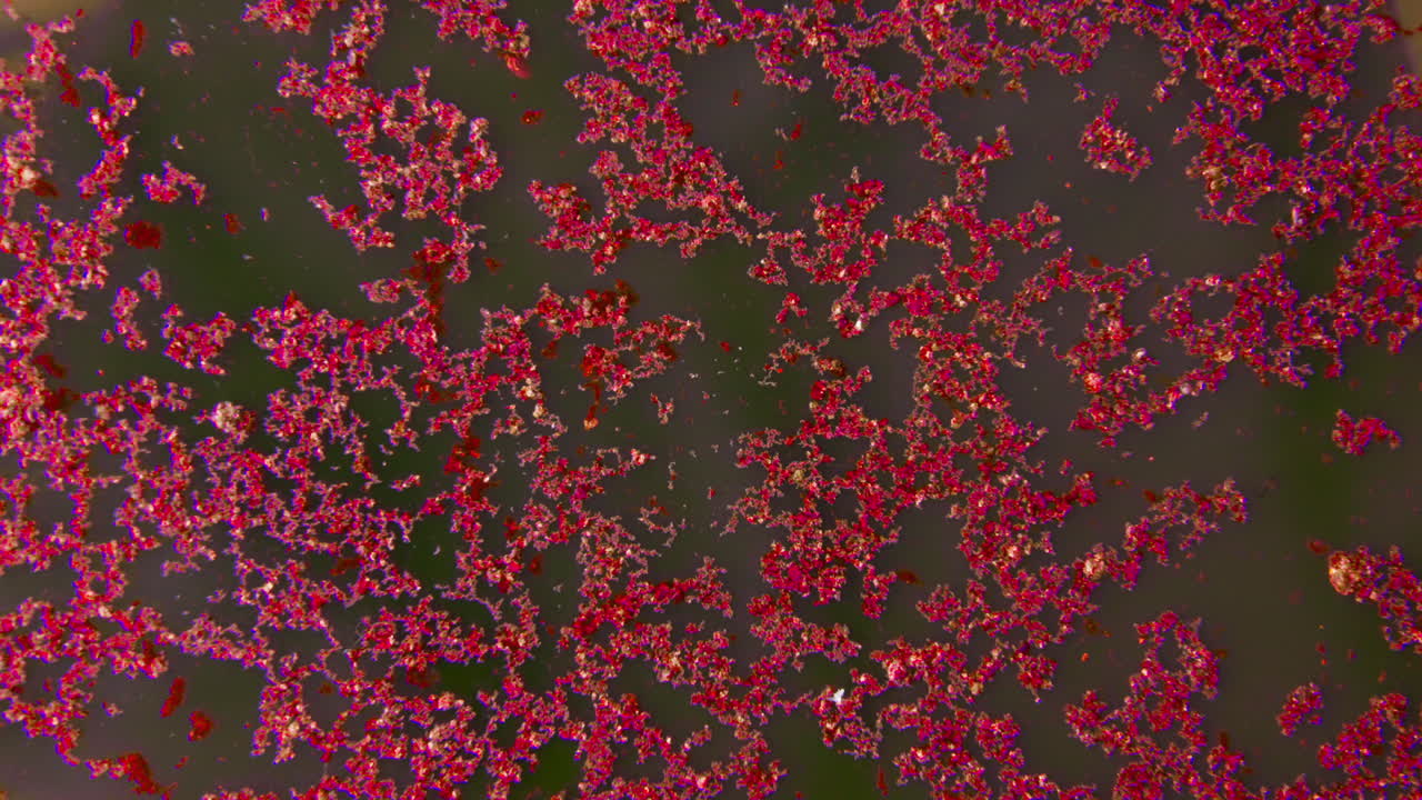 Microscopic View of Red and Gold Particles