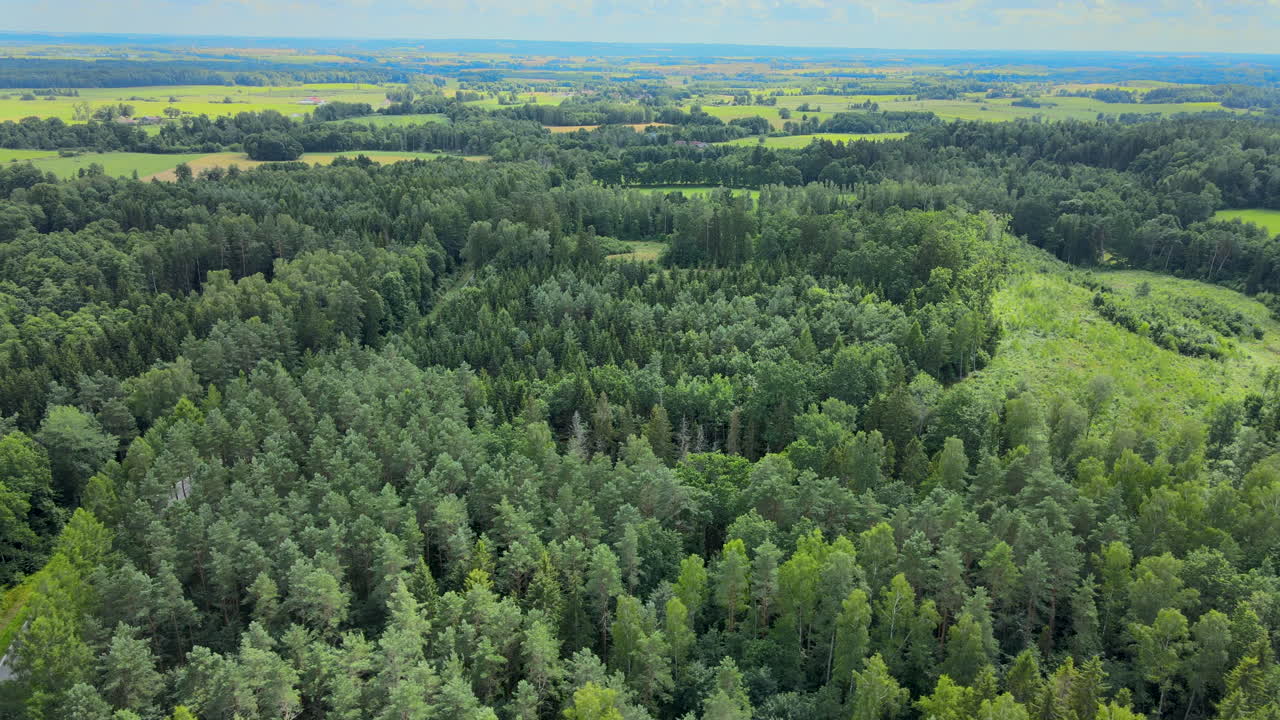 아름다운 녹색 평지의 옆으로 트럭 공중 샷의 숲과 들판