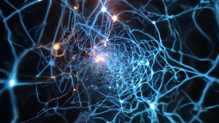 Camera moves through a network of neurons, showcasing firing connections and interactions within the brain's intricate system