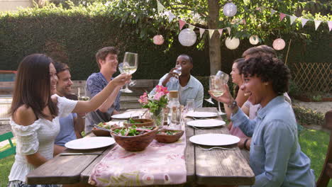 friends making a toast at outdoor backyard party shot on r3d