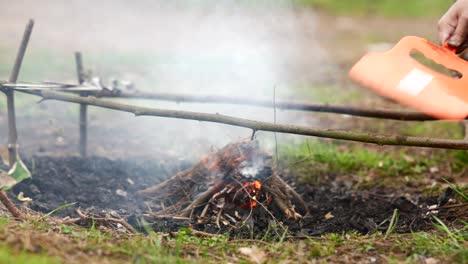 fuego de campamento en el bosque