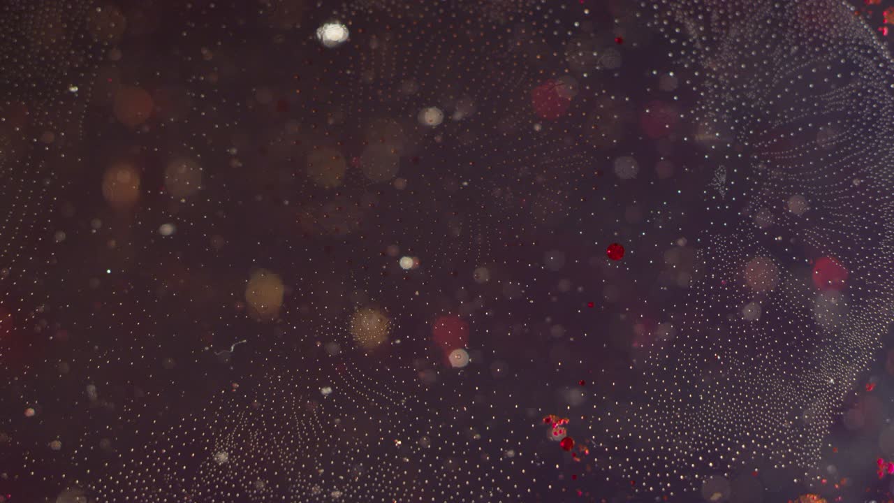 reacción en cadena microscópica rojo y claro orbes líquidos movimiento textura de fondo