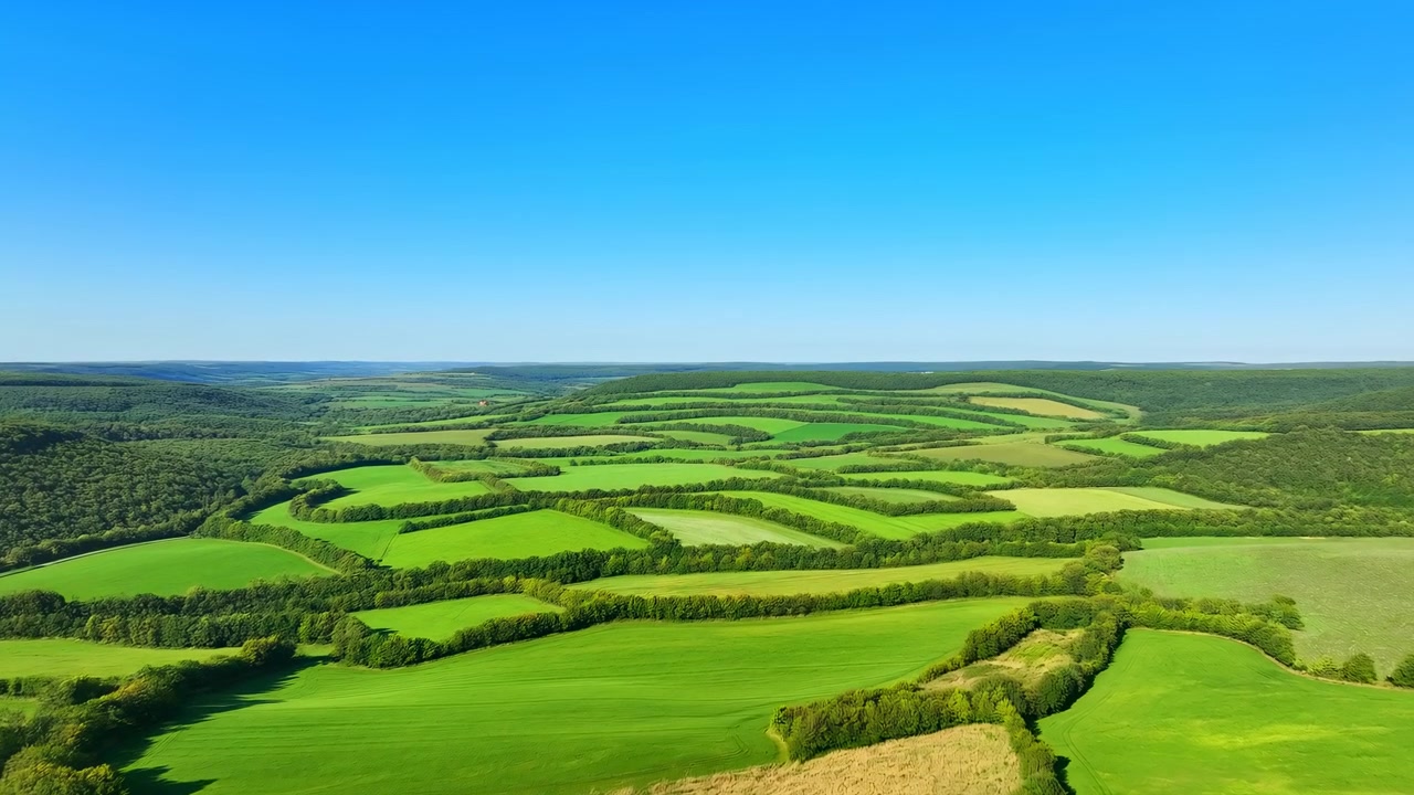 High aerial view showing terraced green farmland with layered crop fields, dense hedgerow borders, rolling countryside, clear blue sky, and sunlit summer scenery across broad horizon