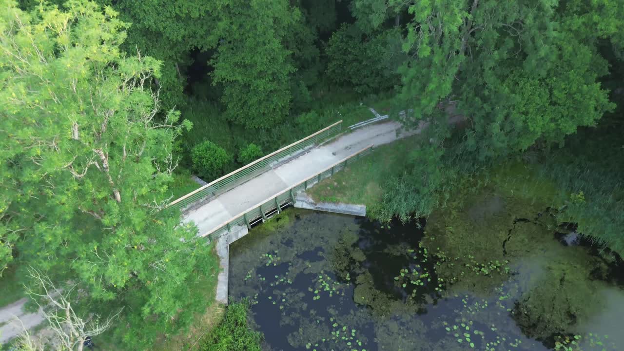 Mesmerizing drone flight captures Europe's serene dawn, showcasing a picturesque lake, lush forest, and a water dam with an elegant bridge