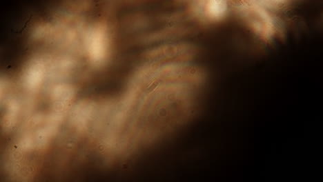 macro shot of small floaters in the eye