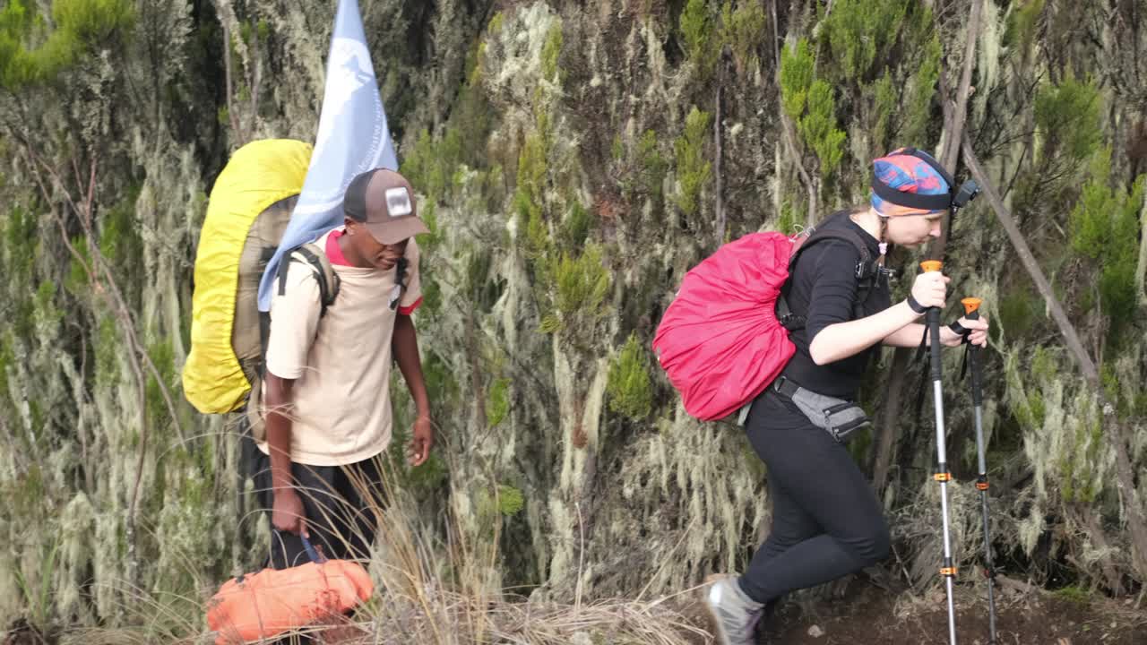 Hikers ascend to the Shira camp with a guide during the ascent of Mt Kilimanjaro