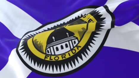 tallahassee city flag, florida, united states of america, slow - loop