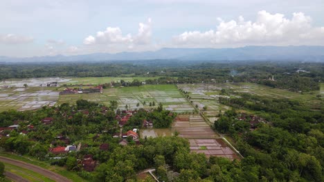 slow forward flight over rural area with several flooded rice fields in indonesia - silhouette of mountains in background