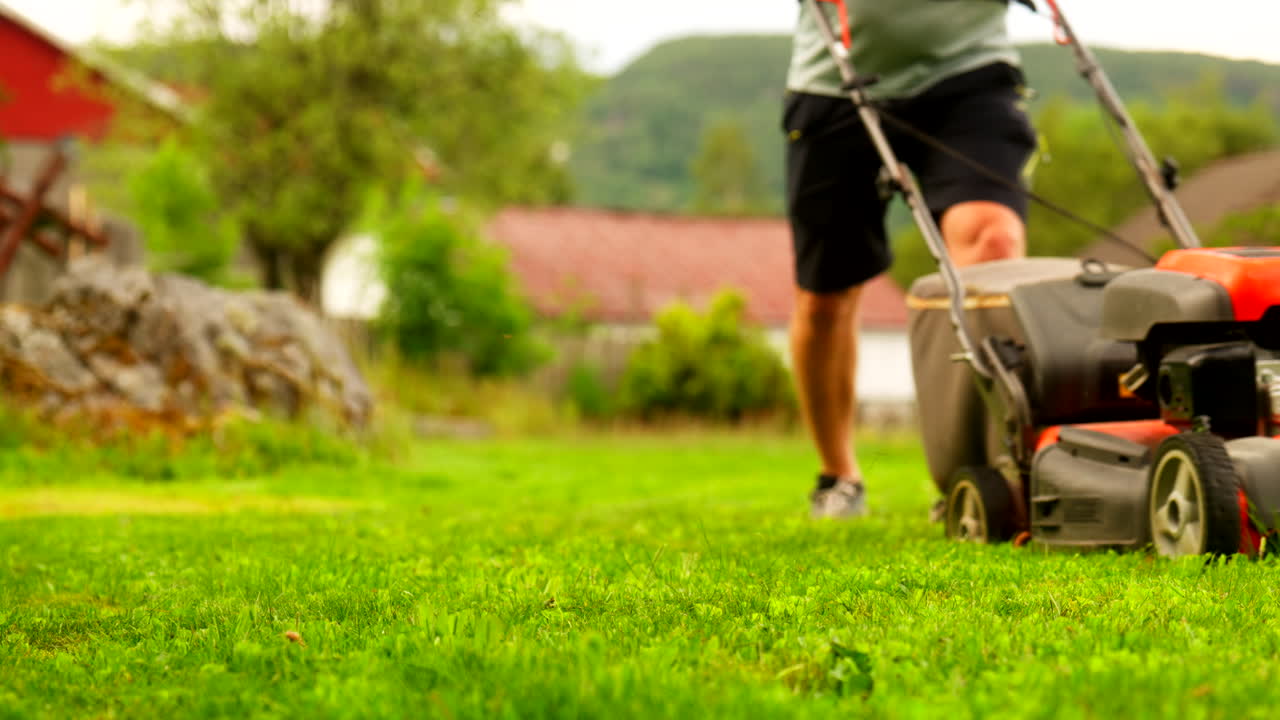 Landscaping tasks, garden maintenance, overgrown lawn, domestic work