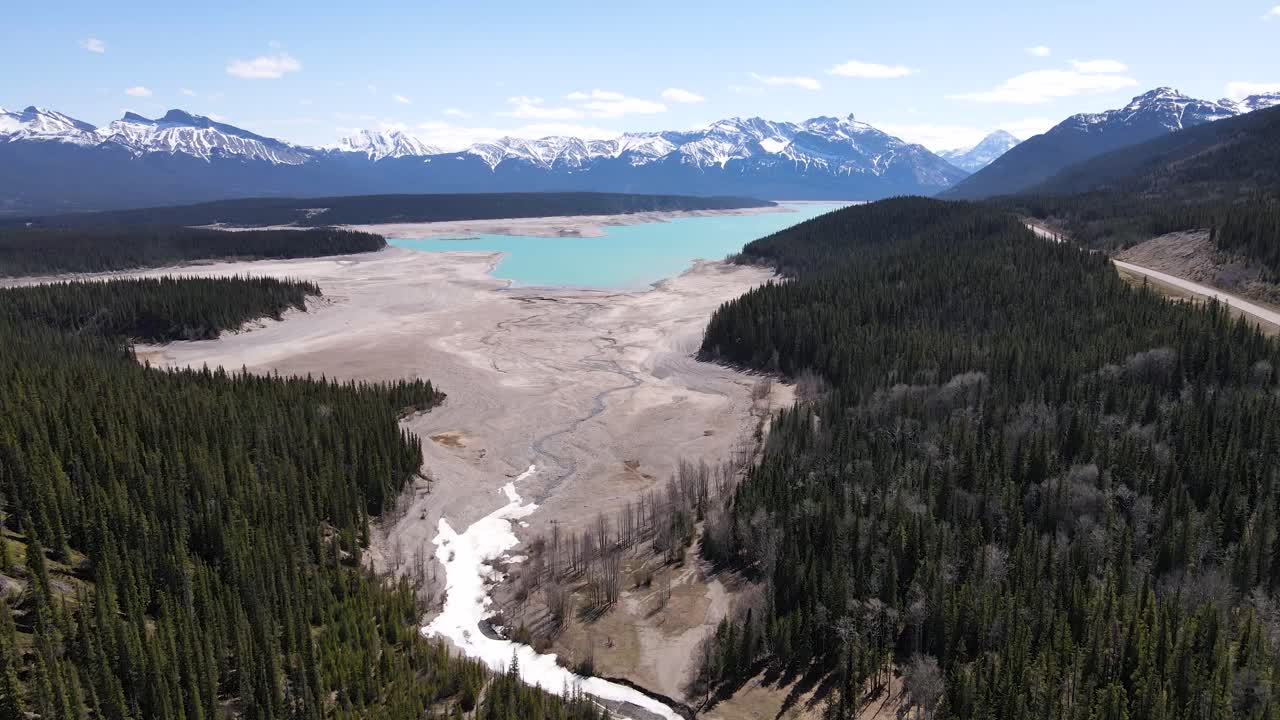 вид с воздуха на озеро абрахам и деревья в провинции альберта, канада