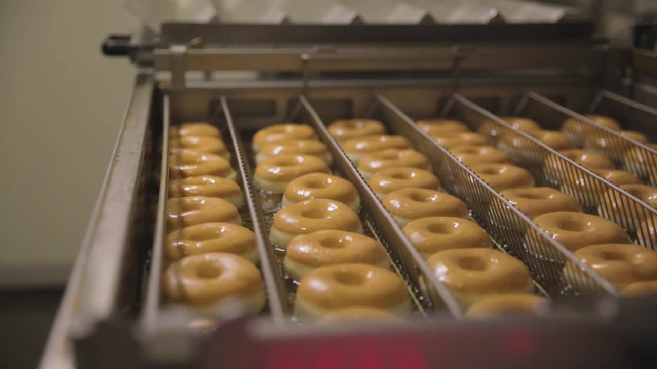 Donut Production Line