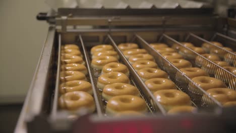 donut production line