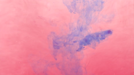 blue food coloring mixing in red water
