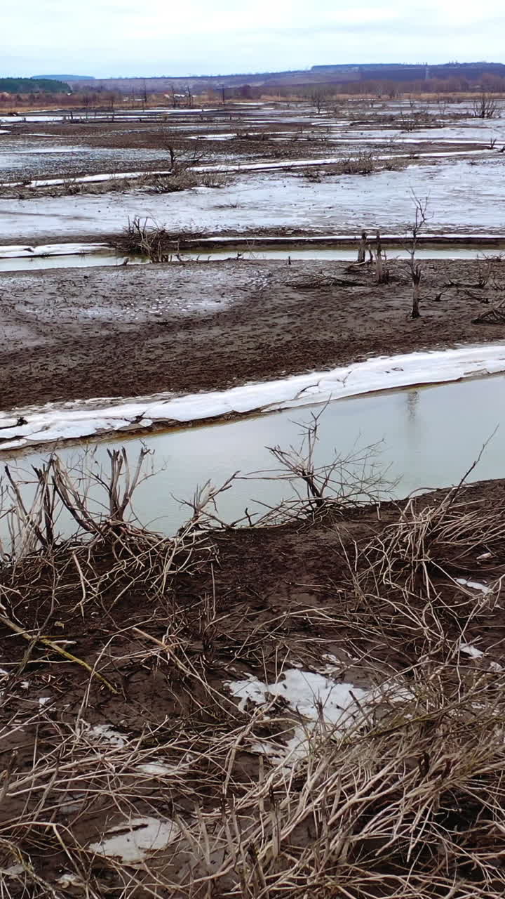 Environmental disaster on earth. Drought river with narrow stream of water. Death for plants in contaminate place. Climate change, ecology. Water problems. Vertical video
