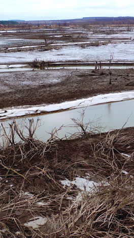 environmental disaster on earth. drought river with narrow stream of water. death for plants in contaminate place. climate change, ecology. water problems. vertical video