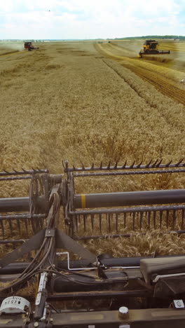 harvesting of wheat in summer. harvester working in the field. combine harvester agricultural machine collecting golden ripe wheat on the field. view from the driver side. vertical video