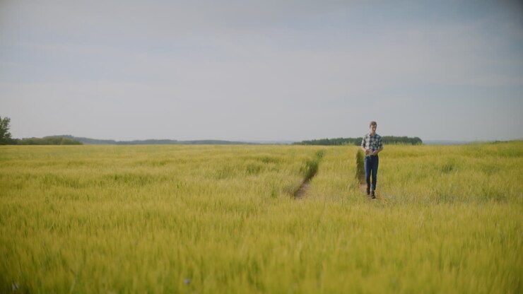 фермер идет по пшеничному полю.