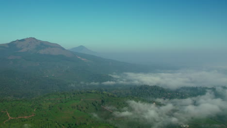 Toma-Aérea-De-4k-Con-Plataforma-Rodante-Volando-Por-Encima-De-Las-Nubes-En-Un-Bosque-Verde-Hacia-Las-Montañas-De-Wayanad