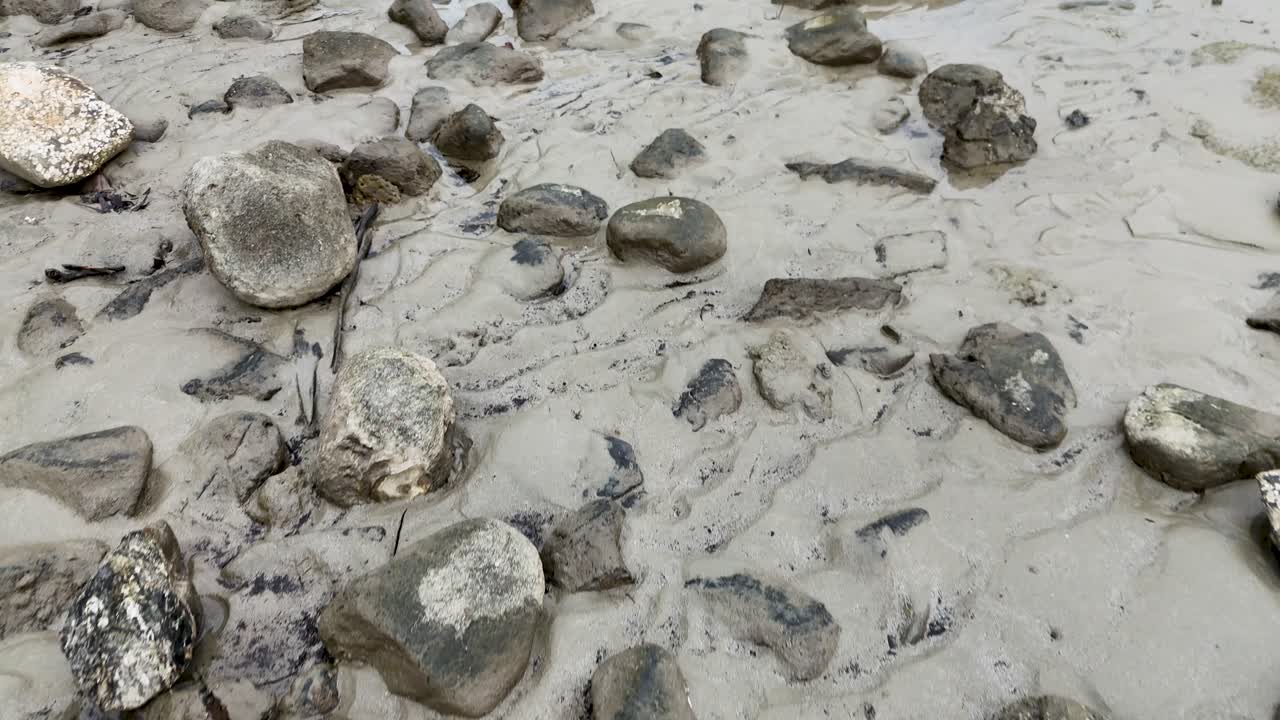 Camera slowly pans across wet rocks and sand on overcast Port Douglas beach, natural daylight