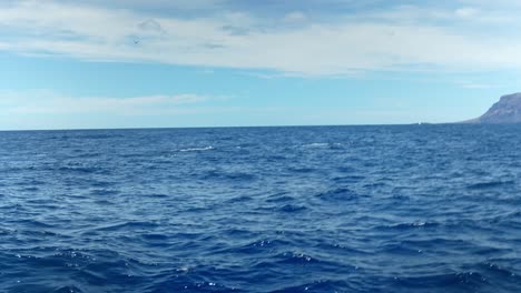 A-view-of-watching-bottlenose-dolphins-on-the-sea-beach-of-Spain-on-a-sunny-morning-with-a-clear-blue-sky