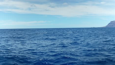 una vista de observar delfines nariz de botella en la playa de españa en una mañana soleada con un cielo azul claro