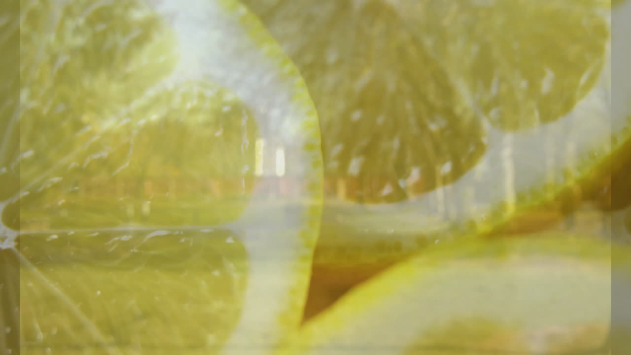 Slices of lemon in focus, animation of blurred park with trees and grass