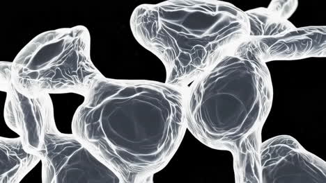 abstract 3d cellular structures