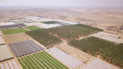 beautiful aerial shot of arava desert in israel circling over agriculture fields