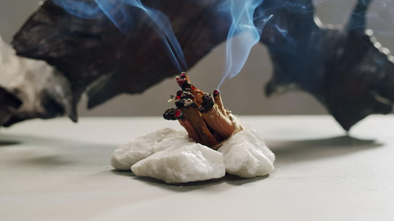 Person holding Palo Santo wood stick in hand, aromatic Palo Santo burning on black background, smoke spreading around, slow motion video clip, high quality 4k close up footage. High quality 4k footage