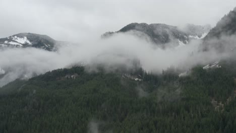 aerial flying over a dense green forest toward snoqualmie pass