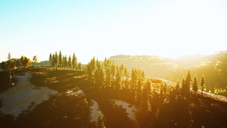 Valle-De-Montaña-Con-Bosque-De-Pinos-Contra-Las-Crestas-Distantes